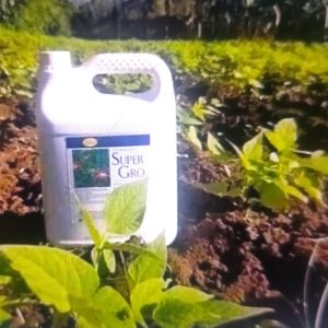 Biofertilisant foliaire et racinaire SUPER GRO 5 litres – Toutes les cultures