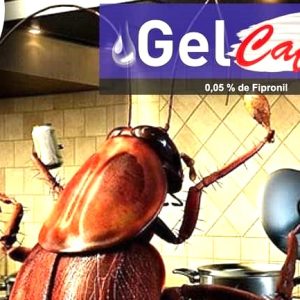 Gel anti-cafards GEL CAFARD 30 gr – Domicile, bureau, hygiène publique