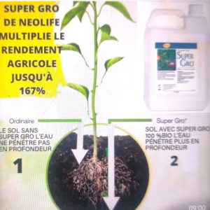 Engrais foliaire 100% Bio SUPER GRO 5 litres – Toutes les cultures
