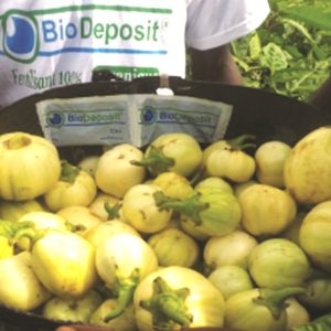 Engrais foliaire 100% Bio BIODEPOSIT ELIXIR 12 ml – Aubergine