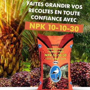 Engrais granulé NPK 10-10-30 + 2,5 S + 3 MgO + 0,7 B – Spécial Palmier à huile