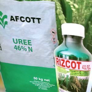 Urée 46% N 50 kg – Riz