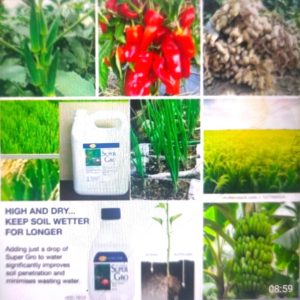 Biofertilisant foliaire et racinaire SUPER GRO 5 litres – Toutes les cultures