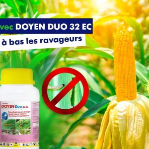Insecticide liquide binaire DOYEN DUO 32 EC 250 ml – Maïs
