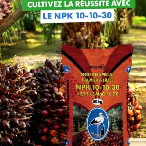 Engrais granulé NPK 10-10-30 + 2,5 S + 3 MgO + 0,7 B – Spécial Palmier à huile