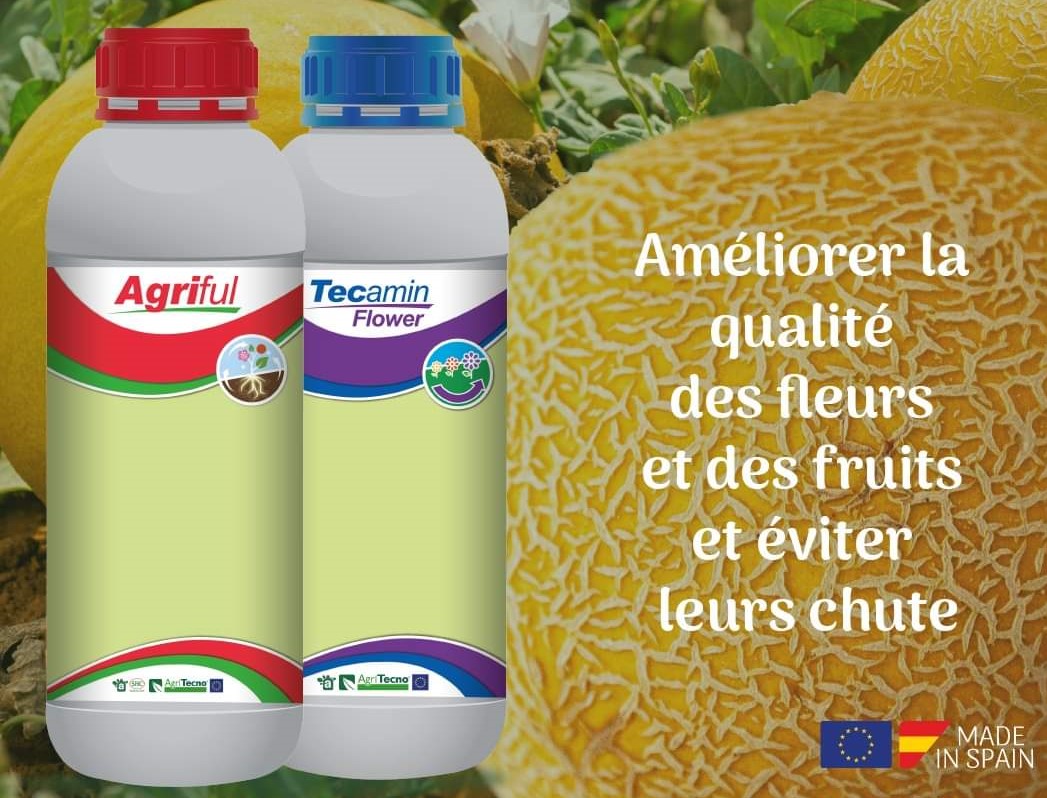 Engrais foliaire organique TECAMIN FLOWER 1 litre – Melon