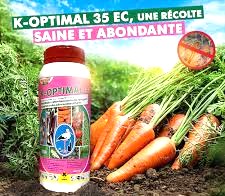 Insecticide liquide K-OPTIMAL 35 EC 1 litre – Coton, cultures maraichères