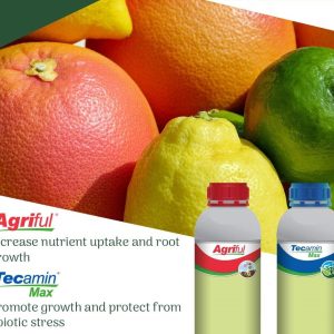 Engrais foliaire organique AGRIFUL 1 litre – Orange