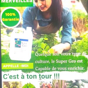 Engrais foliaire 100% Bio SUPER GRO 5 litres – Cultures pérennes