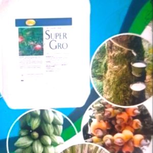 Engrais foliaire 100% Bio SUPER GRO 5 litres – Cultures pérennes