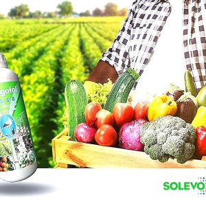 Engrais foliaire NUTRIGOFOL NPK 8-8-8 1 litre – Cultures maraichères, légumes