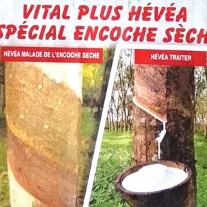 Engrais foliaire biologique VITAL PLUS 1 litre – Spécial Hévéa