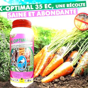 Insecticide liquide K-OPTIMAL 35 SC 1 litre – Cultures maraichères