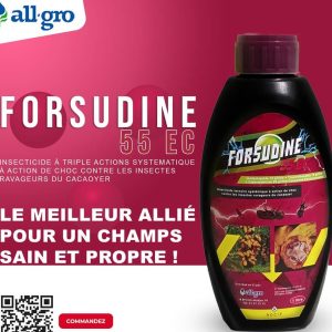 Insecticide liquide FORSUDINE 55 EC 1 litre – Cacao