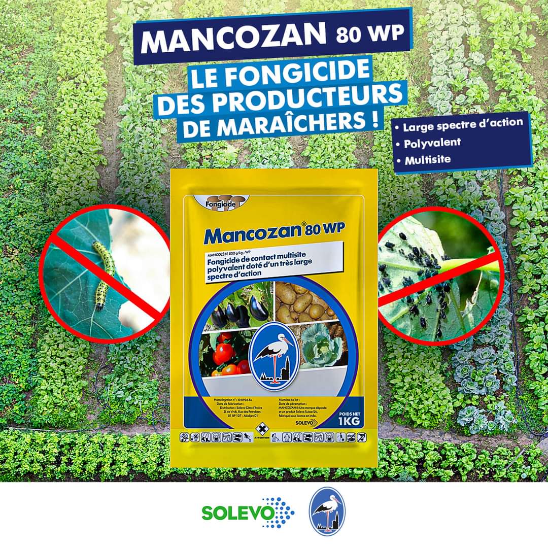 Fongicide granulé MANCOZAN 80 WP 1 kg – Cultures maraichères