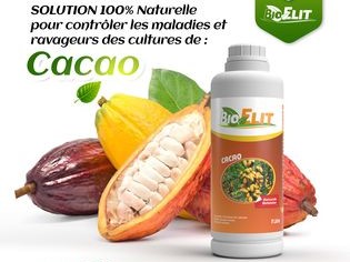Insecticide liquide biologique BIOELIT 1 litre – Cacao