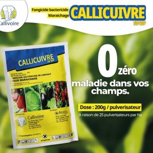 Fongicide granulé CALLICUIVRE 50 WP 1 kg – Cultures maraichères