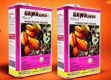 Insecticide liquide GAWA SUPER 45 EC 1 litre – Cacao