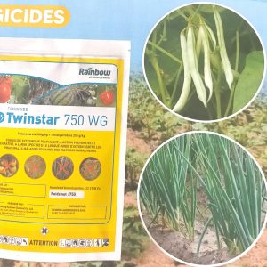 Fongicide granulé TWINSTAR 750 WG 75 gr – Cultures maraichères