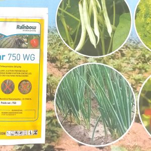 Fongicide granulé TWINSTAR 750 WG 75 gr – Cultures maraichères