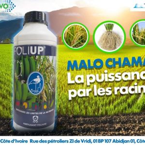 Fertilisant foliaire FOLIUP 1 litre – Banane, riz