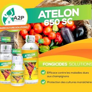 Fongicide liquide ATELON 650 SC 1 litre – Cultures maraichères