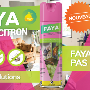 Insecticide liquide FAYA 300 ml – Hygiène publique, domicile, bureau
