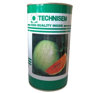 Semence de PASTEQUE KAOLACK 500 gr