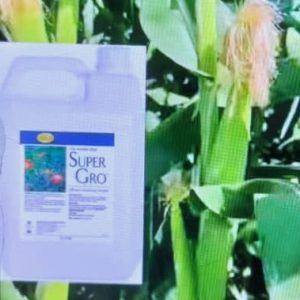 Engrais foliaire et racinaire 100% Bio SUPER GRO 5 litres – Maïs