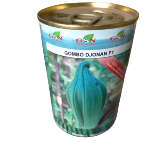 Semence hybride de GOMBO DJONAN F1 50 gr