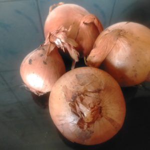 OIGNON Marocain 25 kg