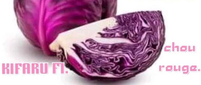 Semence hybride de CHOU ROUGE KIFARU F1