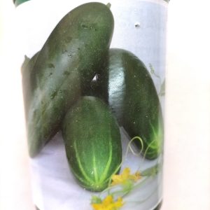 Semence hybride de CONCOMBRE F1 TOKYO 50 gr Technisem