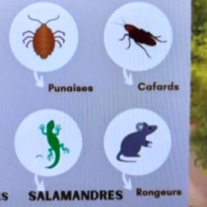 Insecticide granulé PERCAL 2% PERMETHRINE 50 gr – Domicile