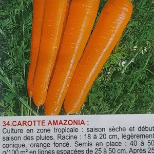Semence de CAROTTE AMAZONIA 50 gr AHS