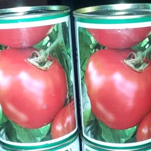 Semence de TOMATE UC-82-B 50 gr