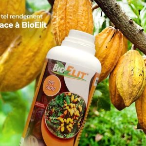 Bio-fongicide liquide BIOELII 1 litre – Type Cacao