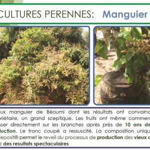 Engrais foliaire et racinaire 100% Bio BIODEPOSIT ELIXIR 12 ml – Mangue