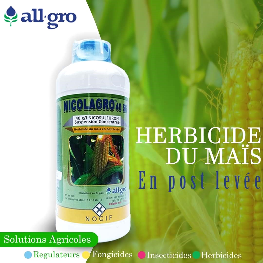 Herbicide liquide sélectif de post-levée NICOLAGRO 40 SC 1 litre – Maïs