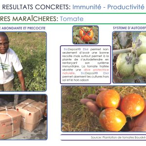 Engrais foliaire et racinaire 100% Bio BIODEPOSIT ELIXIR 12 ml – Tomate