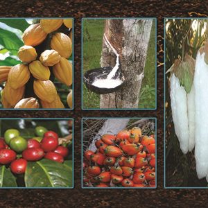 Engrais foliaire et racinaire 100% Bio BIODEPOSIT ELIXIR 12 ml – Cultures de rente