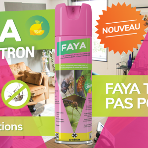 Antipuces liquide FAYA 750 ml – Bureau, domicile, hygiène publique