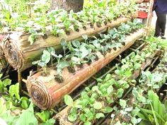 Engrais granulé 100% Bio BIODEPOSIT AGRO 10 kg – Hydroponie