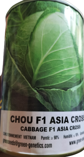 Semence hybride de CHOU F1 ASIA CROSS 50 gr