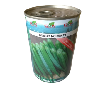 Semence hybride de GOMBO NOURA F1 50 gr