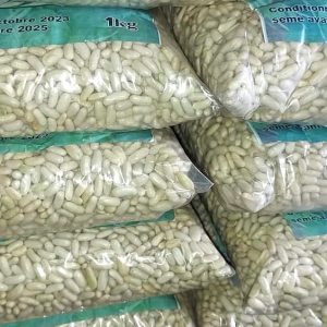 Semence de HARICOT VERT CORA 1 kg