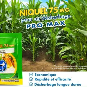 Herbicide granulé sélectif de post-levée NIQUEL 75 WG 12.5 gr – Maïs