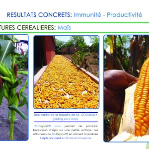 Engrais foliaire et racinaire 100% Bio BIODEPOSIT ELIXIR 12 ml – Maïs