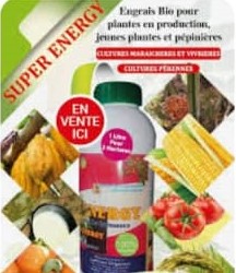 Engrais foliaire Bio SUPER ENERGY 1 litre – Toutes les cultures