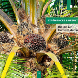 Insecticide liquide 100% Bio BIOELIT 1 litre – Type Palmier à huile